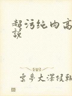 超污纯肉高h小说