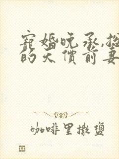 宠婚晚承,总裁的天价前妻 水嫩芽