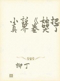 小说《她把全修真界卷哭了》