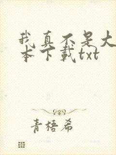 我真不是大佬全本下载txt