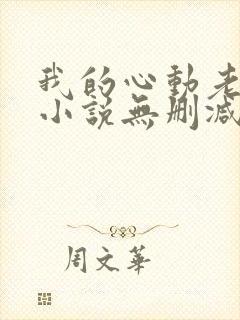 我的心动老板娘小说无删减版