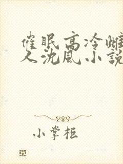 催眠高冷雌坠美人沈风小说最新章节封面