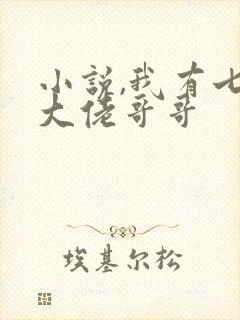 小说,我有七个大佬哥哥封面