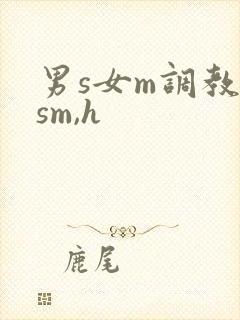 男s女m调教(sm,h封面