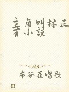 主角叫林正的所有小说