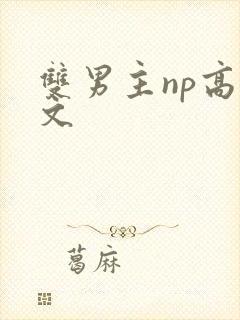 双男主np高h文