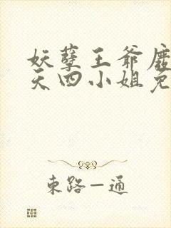 妖孽王爷废材逆天四小姐免费阅读