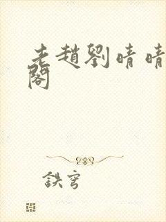 老赵刘晴晴笔趣阁