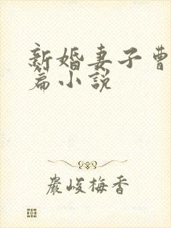 新婚妻子曹仁全篇小说