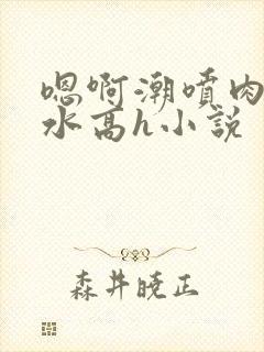 嗯啊潮喷肉失禁水高h小说