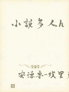 小说多人h封面
