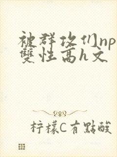 被群攻们np肉双性高h文