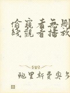 偷窥者无删减在线观看播放