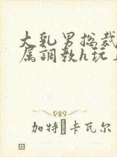 大乳男总裁被下属调教h玩弄双男