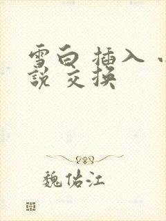 雪白 插入 小说 交换
