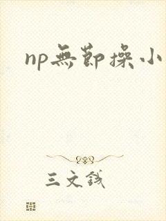 np无节操小说