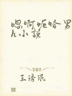 嗯啊呃哈男男高h小说