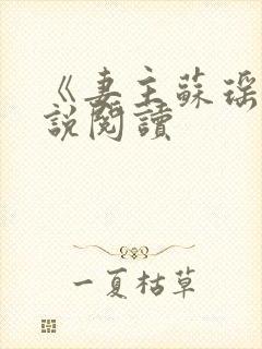 《妻主苏瑶》小说阅读