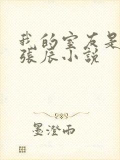 我的室友是直男张辰小说