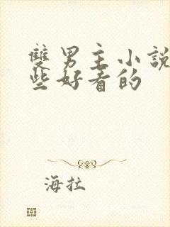 双男主小说有哪些好看的封面