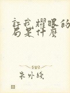 许我耀眼的大结局是什么