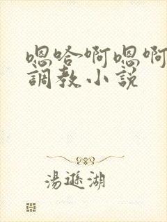 嗯哈啊嗯啊不要调教小说