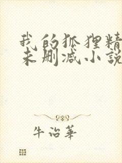 我的狐狸精后妈未删减小说封面