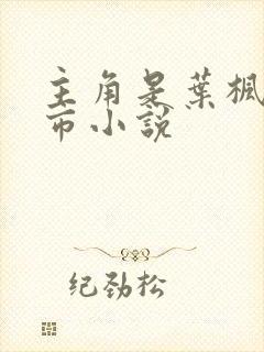 主角是叶枫的都市小说