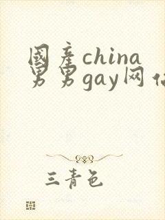 国产china男男gay网站站