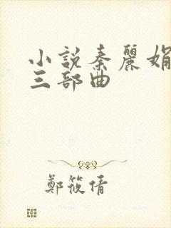 小说秦丽娟外传三部曲