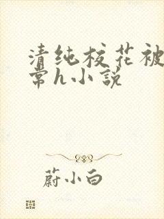 清纯校花被脔日常h小说