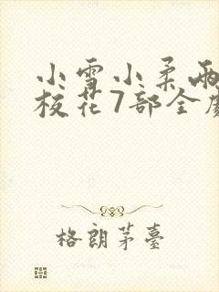 小雪小柔两个大校花7部全剧小说封面