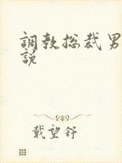 调教总裁男男小说