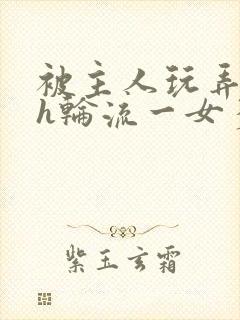 被主人玩弄的高h轮流一女多男小说