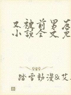 又被前男友盯上小说全文免费封面