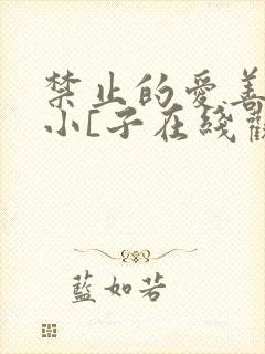 禁止的爱善良的小[子在线观看完整韩剧