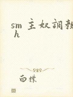 sm 主奴调教 h