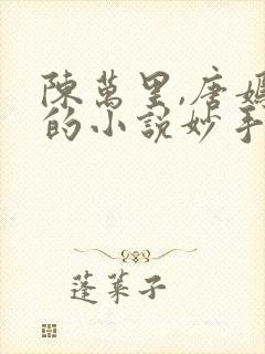 陈万里,唐嫣然的小说妙手大仙医