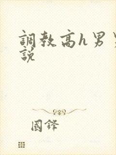 调教高h男男小说