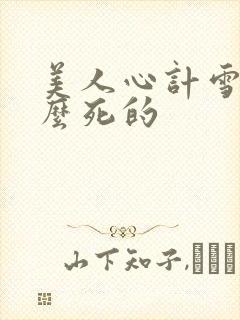美人心计雪鸢怎么死的封面