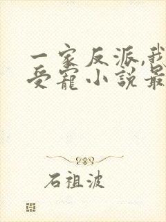 一家反派,我最受宠小说最新章节