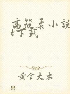 高筱柔小说txt下载