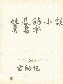 姓凤的小说女主角名字封面