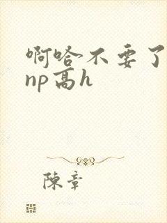 啊哈不要了男男np高h