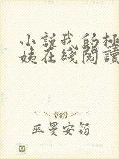 小说我的极品小姨在线阅读封面