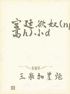 宫廷欲奴(np高h)小d