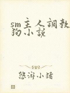 sm主人调教母狗小说