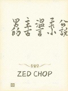 男主温柔公子型的古言小说