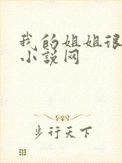 我的姐姐很弟控小说网