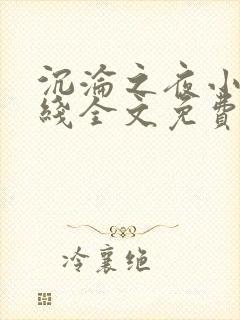 沉沦之夜小说在线全文免费阅读封面